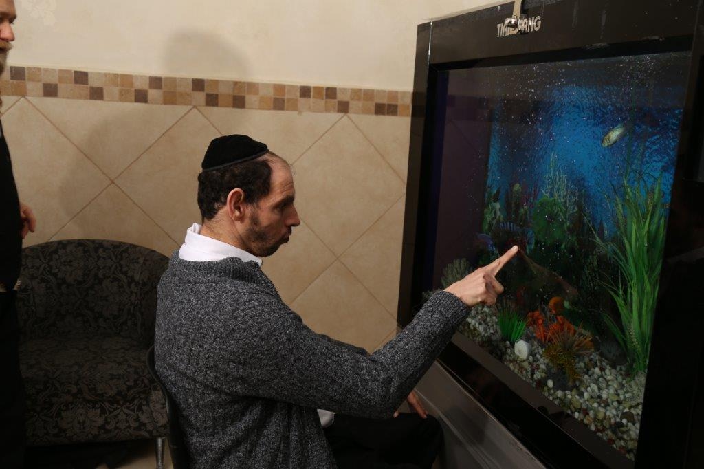 תמונה ללא תיאור