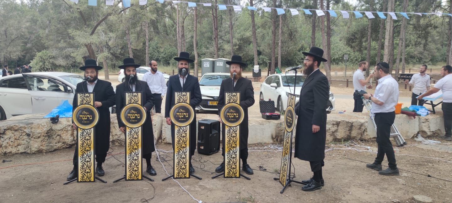 תמונה ללא תיאור