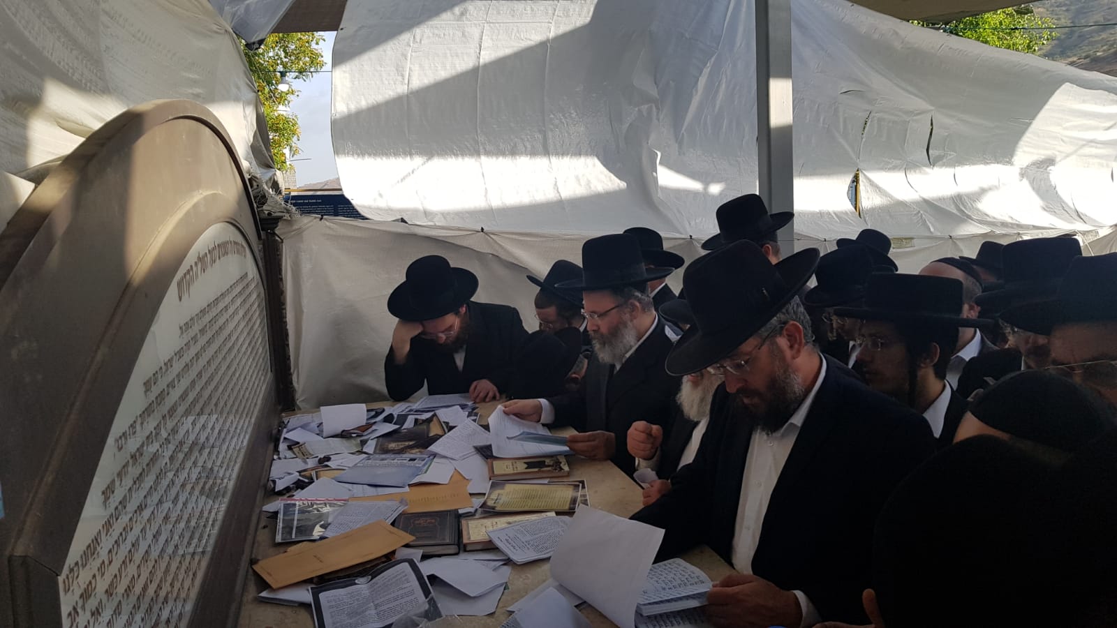 תמונה ללא תיאור